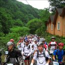 주식회사배가