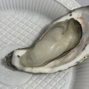 경기도 수원시 영통구 동수원로507번길 | [26년 1월] 어김없이 해는 바뀌고