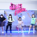 스마트웨이브(SMART WAVE)