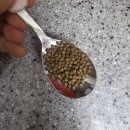 공*환 | 바쁜 일상에 간편하게 챙기기 좋은 서리태환 후기