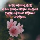 ☆553.권은비 이미지