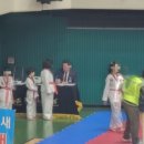 성실태권도 체육관 이미지