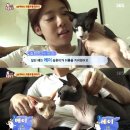 김진우 농장 이미지