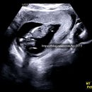 하안유산부인과의원 이미지