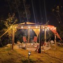 노스토스 이미지