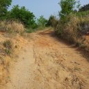 은행목장 이미지