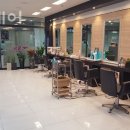 헤어219 네이버블로그
