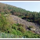 다숲민박 이미지