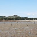 대산버스터미널 이미지