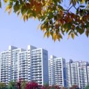 참조은부동산중개사무소 이미지