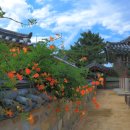 수로왕릉 이미지