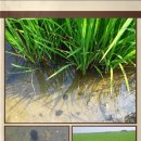 녹색농원 이미지