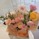 엠에스스튜디오 이미지