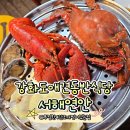 연안애견 이미지