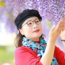 합도초교 이미지