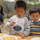 팔매숲공원 이미지