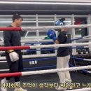 만세 복싱클럽 이미지