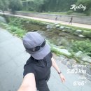 마포메이플베어 | ※긴글주의 : 너무 많이 돌아다녔읍니다