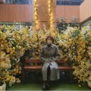 삼성명품세탁소 | ‘크린웰’ 삼성동 명품전문세탁소, 봄맞이 버버리...코트 드라이크리닝 내돈내산 후기(가격, 위치 정보)