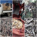 청계복지농장 이미지