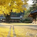 전주세탁소 이미지