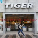 타이거샵 이미지