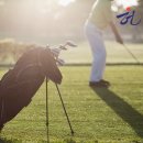 성광 태양광발전소 이미지