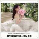 뭘해도예뻐 | [공지] 부산 세미앙 드레스 촬영후기 컨셉별 드레스 추천