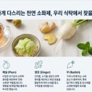 다제스팜