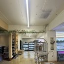 애니멀리움 이미지