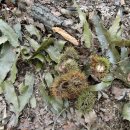 용봉약수터 이미지