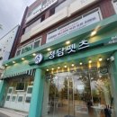 청담펫츠 이미지