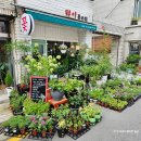 문정초등학교 (앞) 이미지