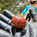 연석농장 이미지