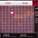 하나INC