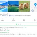 안면애견펜션프리독 이미지