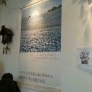 가정식당 이미지