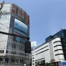 11545-06-29-25 | 카드 라운지 방문 (이용X) 서플라이 구매 후기 25/06/29 / 도쿄 시부야 / 시부야 스크램블 / 포켓몬...