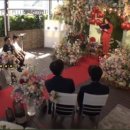 아모르 하우스 이미지