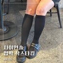 스타킹 | 리뷰ㅣ데일리코디 추천템 사이언솔 시스타 보라 압박 삭스타킹 후기
