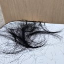 고운동_세종중앙타워 | 고운동미용실 아름동미용실 세종 레이어드 C컬펌 잘하는 헤담헤어