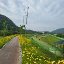 계룡산골프장 이미지