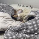 15년 만에 바꾼 나의 전기매트, 양솜 전기매트 내돈내산 후기