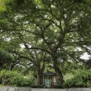 의령 고산재 이미지