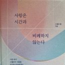 사랑과 시간은 비례하지 않는다 - 스텔라 황 지음 이미지