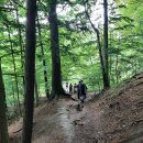 사랑이 머무는 미래 이미지