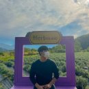 엽이오락실 이미지