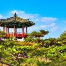 세타나 서울 이미지