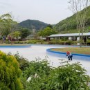 삼척미로정원 이미지