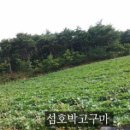 호박통신 이미지